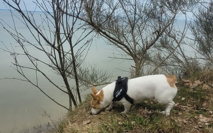 Zbiórka Na pracę marzeń - zdjęcie główne