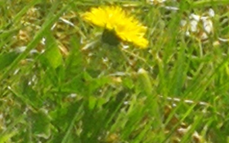 Zbiórka Zbieram na leki dla ukrainy - zdjęcie główne