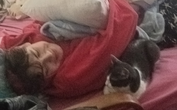 Zbiórka wrześniowy czynsz - zdjęcie główne