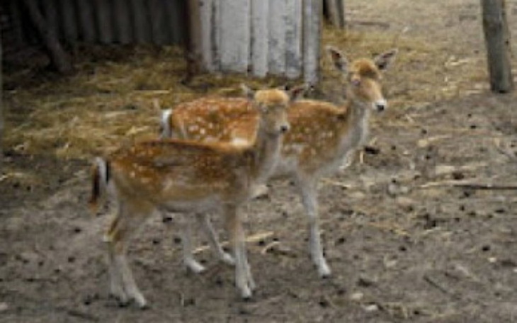 Zbiórka Na Daniele i Barzanty - zdjęcie główne
