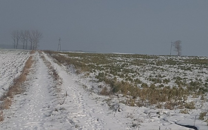 Zbiórka Spełnić marzenie. - zdjęcie główne