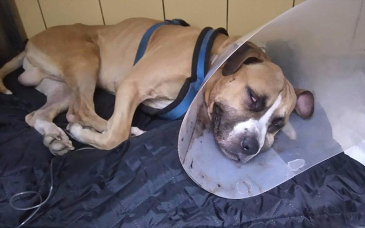 Zbiórka Baster - czyli życie na kredyt - zdjęcie główne