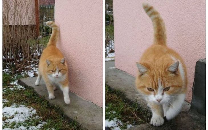 Zbiórka Znajdek prosi o pomoc! - zdjęcie główne