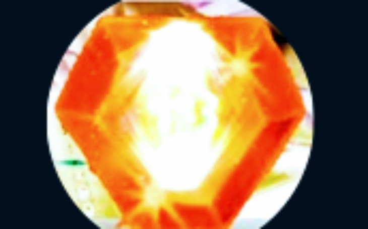 Zbiórka Social Farm - zdjęcie główne