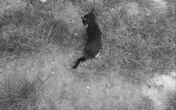 Zbiórka OBojętność - zdjęcie główne