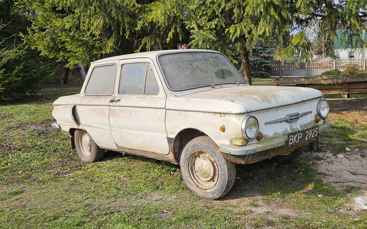 Stary, zardzewiały samochód zaparkowany na trawie.
