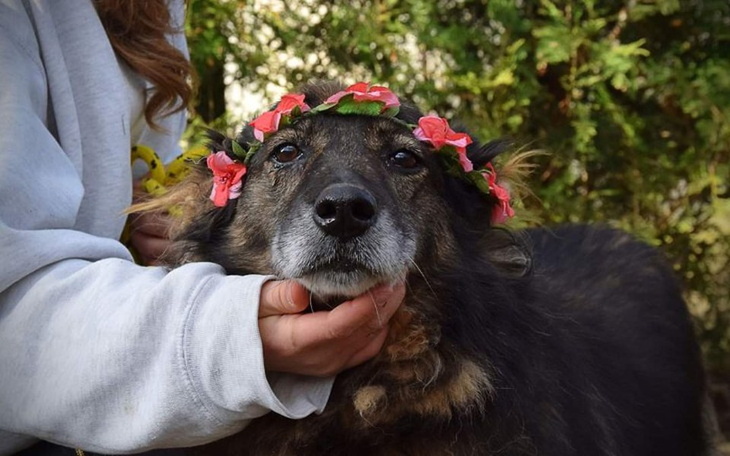 Zbiórka Bezbronniaki - zdjęcie główne