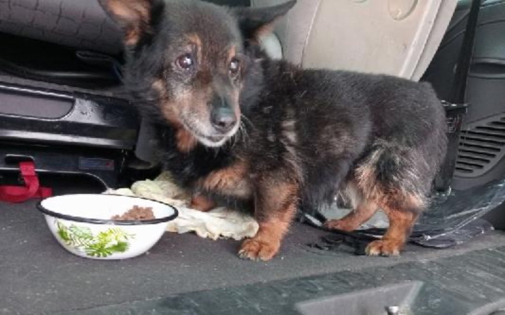 Zbiórka Na godną starość.. - zdjęcie główne