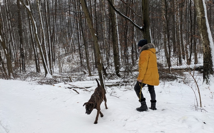 Zbiórka Na przeprosiny - zdjęcie główne