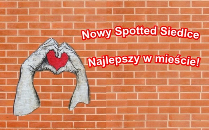 Zbiórka Nowy Spotted Siedlce - zdjęcie główne