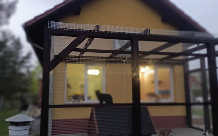 Zbiórka Grosik na wolierę. - zdjęcie główne