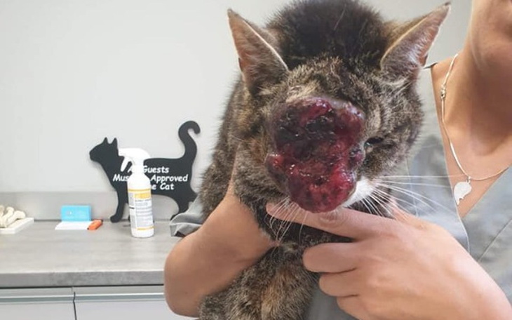 Zbiórka Zobacz mnie człowieku :((( - zdjęcie główne