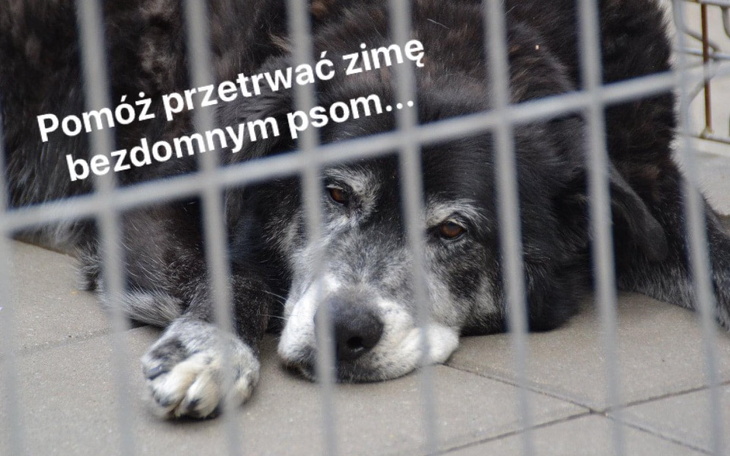 Zbiórka Przetrwać zimę... - zdjęcie główne
