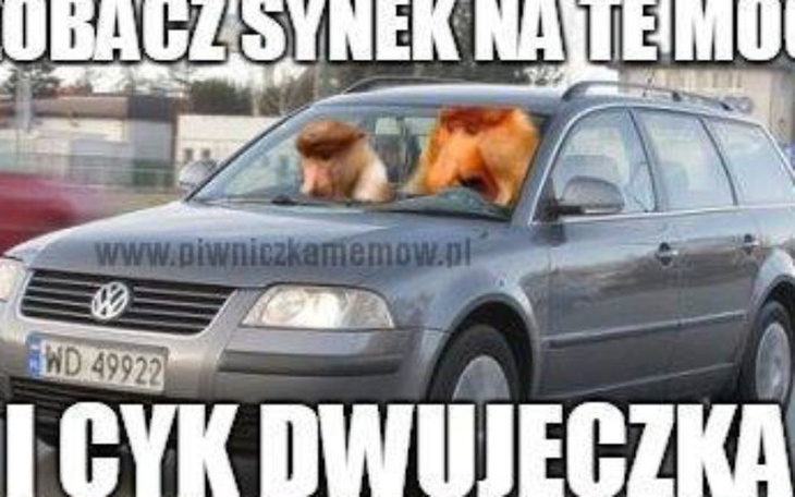 Zbiórka Na Passata - zdjęcie główne