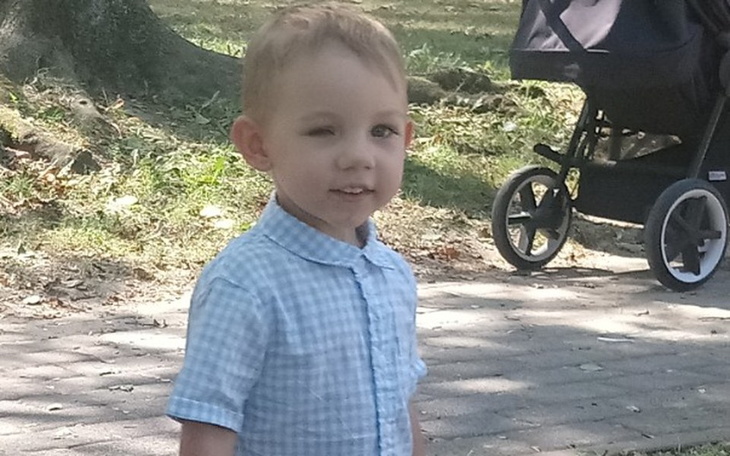 Zbiórka Moje oczko może widzieć - zdjęcie główne