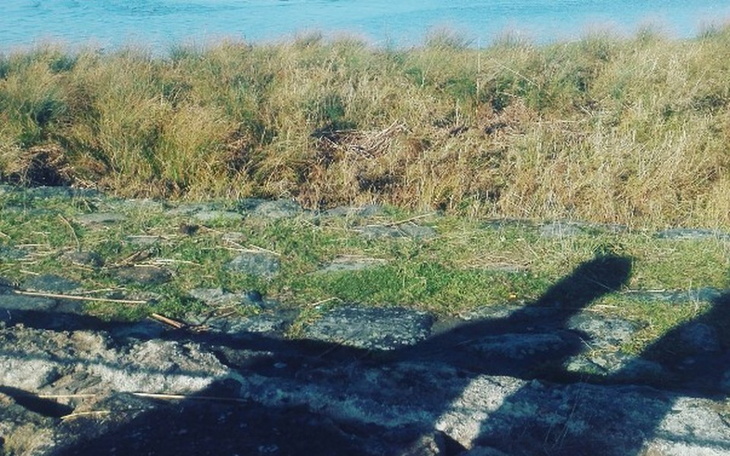 Zbiórka Zbieram na kawalerke - zdjęcie główne