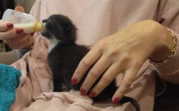 Zbiórka Na maluszka z firmy Ambit Leszno - zdjęcie główne