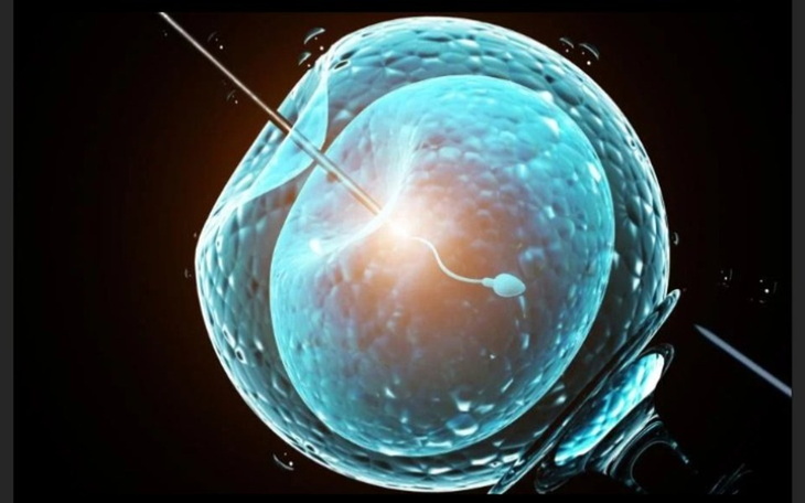 Zbiórka In vitro moja nadzieja - zdjęcie główne