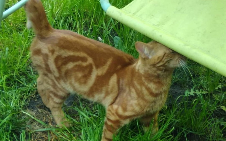 Zbiórka Na start normalnego życia. - zdjęcie główne