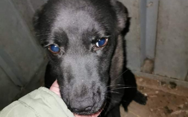 Zbiórka Dość cierpienia - zdjęcie główne