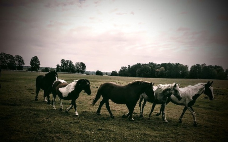 Zbiórka Gdy brakuje nadziei na bliskość - zdjęcie główne