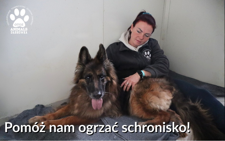 Kobieta z psem w schronisku, prosząca o pomoc.