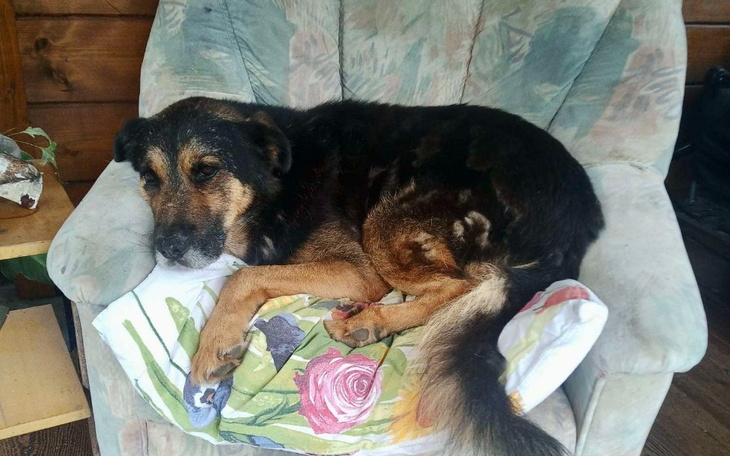 Zbiórka Na dwa miesiące życia bez bólu - zdjęcie główne