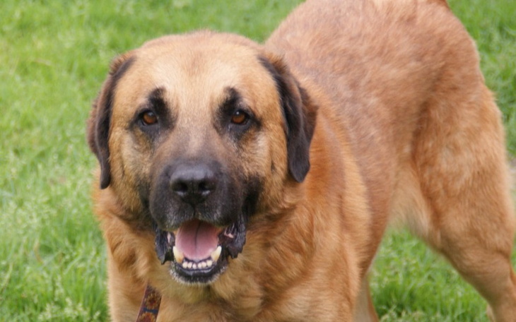 Zbiórka dla Amika_na hotel - zdjęcie główne