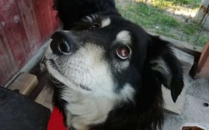 Zbiórka Hacziko - starcił wzrok i dom... - zdjęcie główne