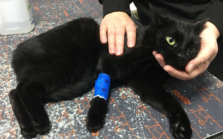 Zbiórka Śrubka - zdjęcie główne