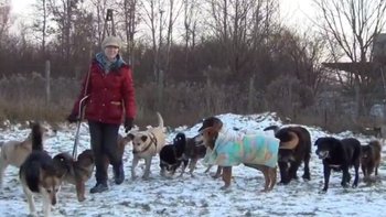 Zbiórka Głodne oczy patrzą na nas - miniaturka zdjęcia