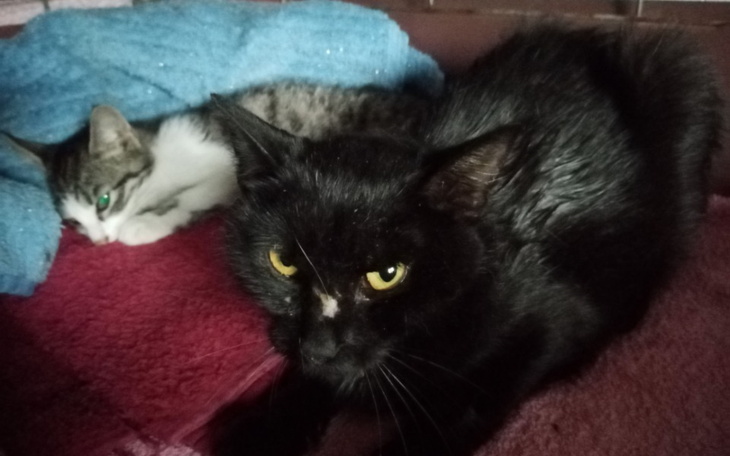 Zbiórka Na leczenie Mani - zdjęcie główne