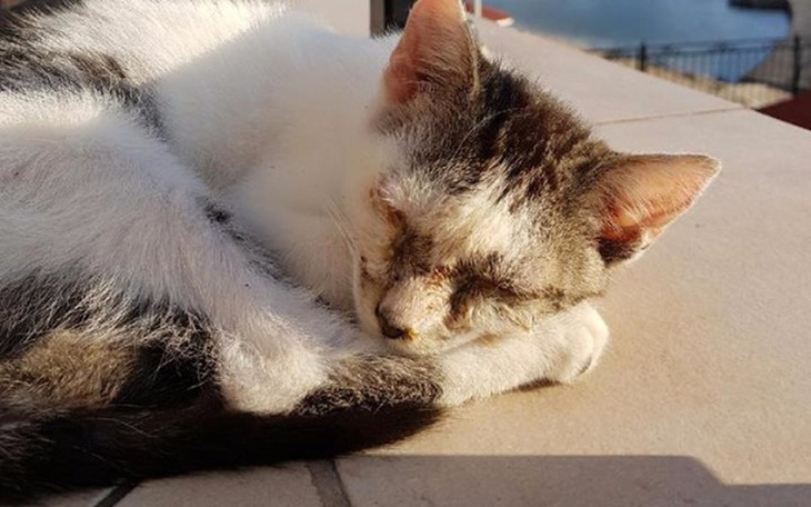 Zbiórka Dokąd uciec przed śmiercią?? - zdjęcie główne