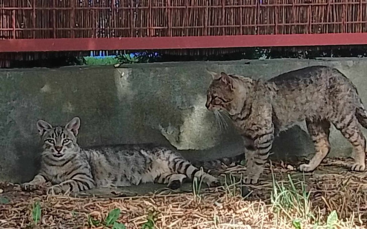Zbiórka Pomoc dla bezdomnych któw - zdjęcie główne