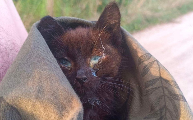 Zbiórka Na spłatę zadłużenia SOS - zdjęcie główne