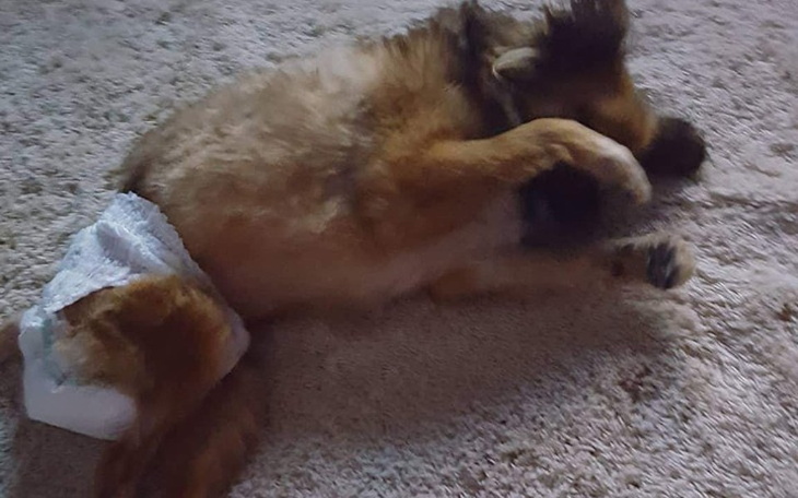 Zbiórka Wózek który da mi wszystko.... - zdjęcie główne