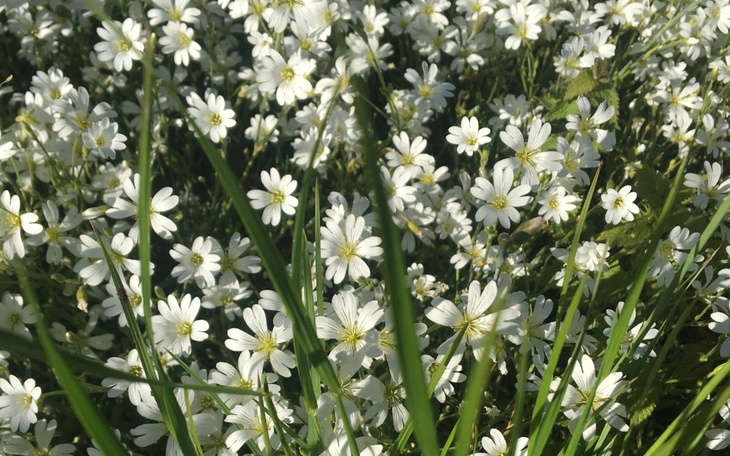 Zbiórka Miesieczne wydatki - zdjęcie główne