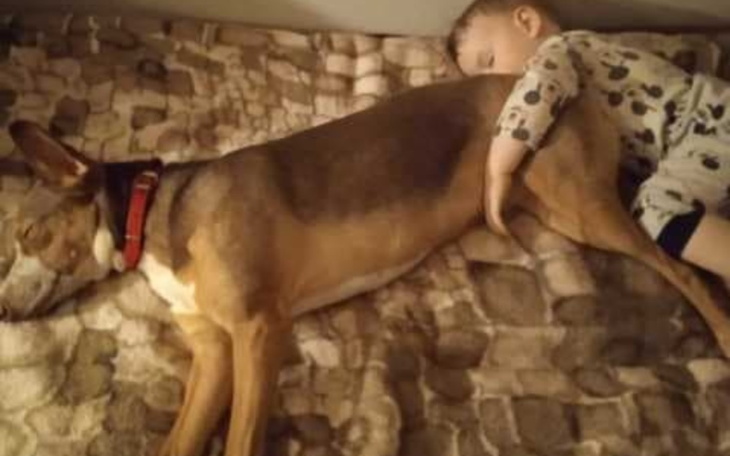 Zbiórka Rubi walczy o życie - zdjęcie główne