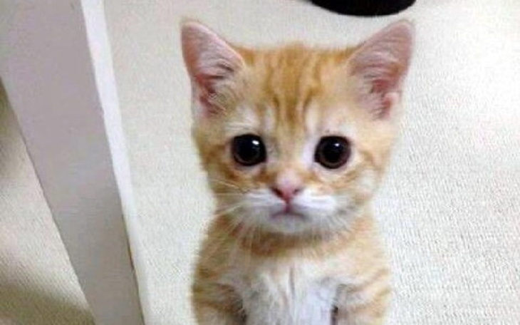 Zbiórka Na lepszy pecet gamingowy - zdjęcie główne