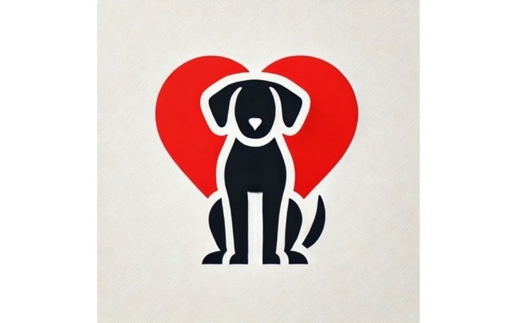 Zbiórka Karma i akcesoria dla schroniska - zdjęcie główne