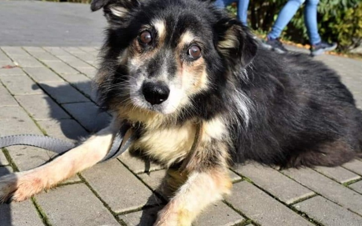 Zbiórka Dziedeczek Ignaś - zdjęcie główne