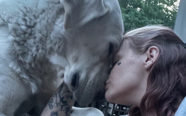 Zbiórka Ja i 18 psów prosimy o wsparcie - zdjęcie główne