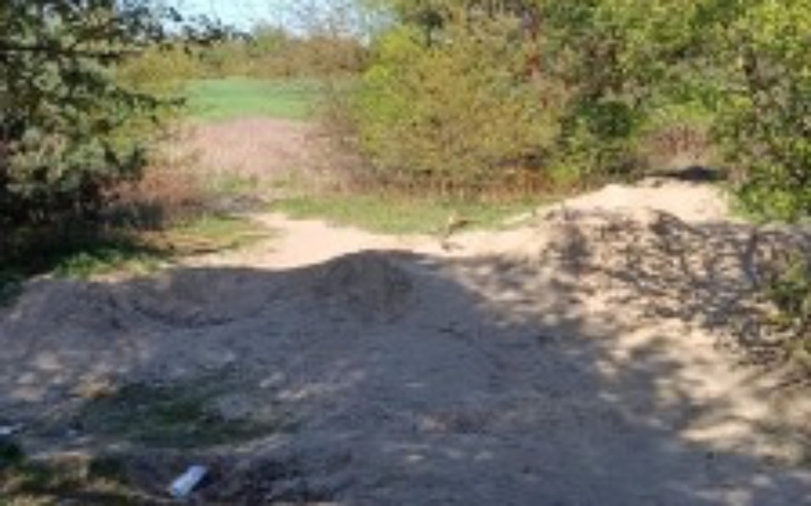 Widok na piaszczystą drogę otoczoną zielenią.