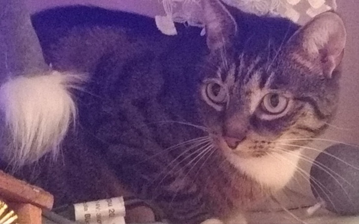 Zbiórka na grY132 - zdjęcie główne