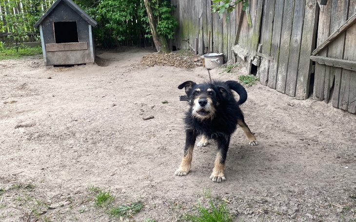 Zbiórka Łańcuch to moje życie-Dropsik. - zdjęcie główne