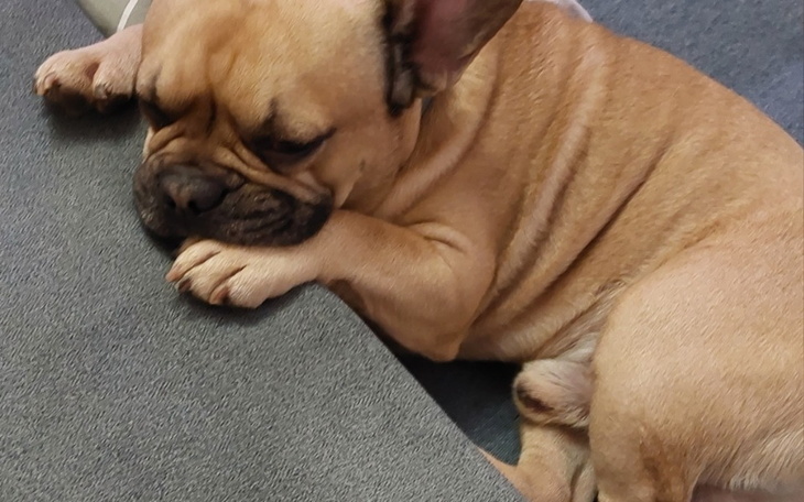 Zbiórka Pilna operacja dla Yaosia - zdjęcie główne