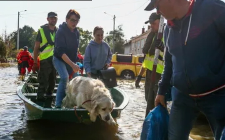 Zbiórka Powódź gm. Lewin Brzeski Pomoc - zdjęcie główne