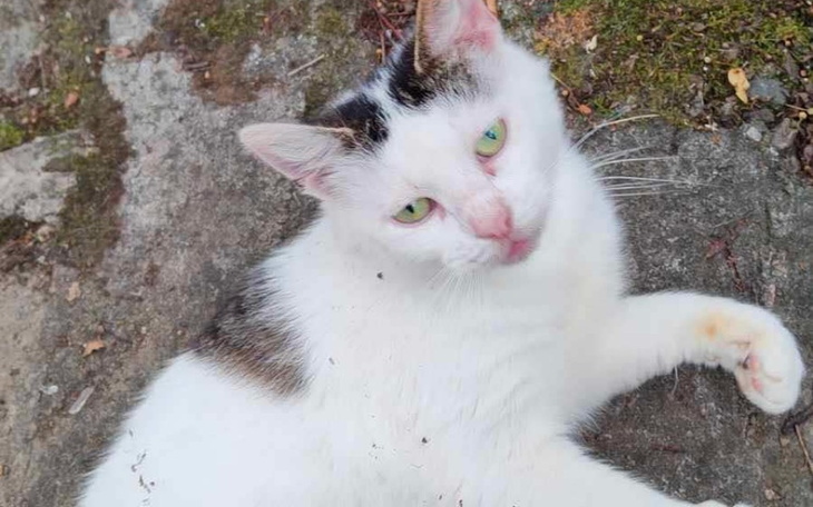 Zbiórka Na poszukiwania - zdjęcie główne