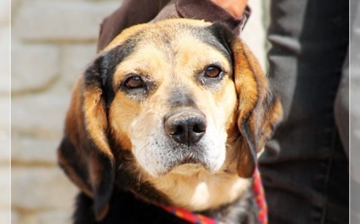 Zbiórka Na bilet dla Bileta z Radys.... - zdjęcie główne