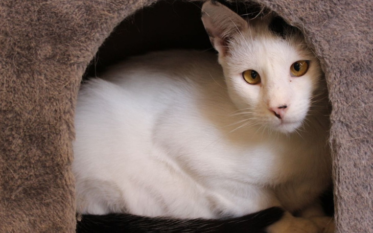 Zbiórka Mruczarnia, czerwiec 2022 - zdjęcie główne